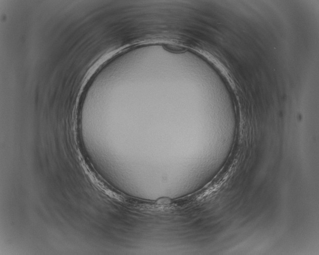 X0000081370949200702020202