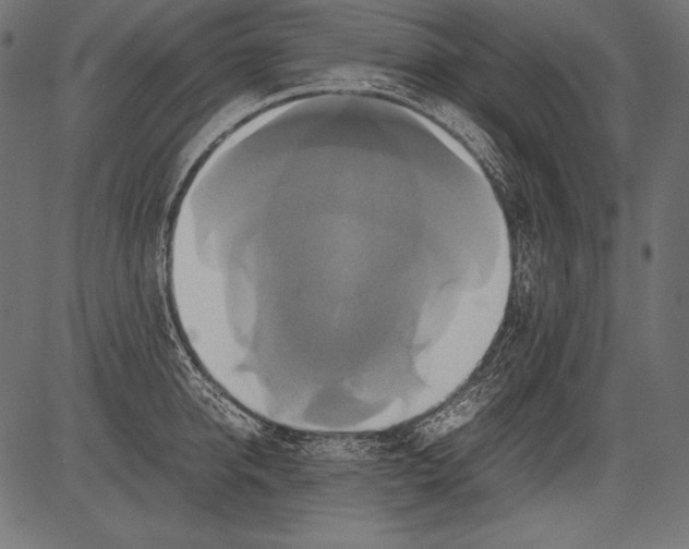 X0000081370950200702020202