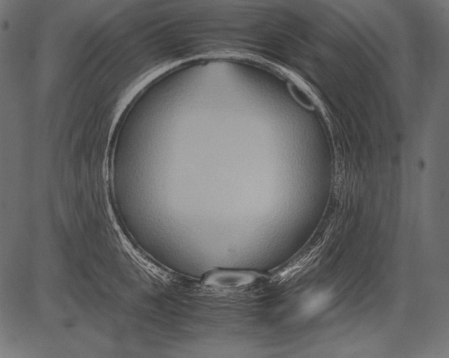 X0000081370951200702020202