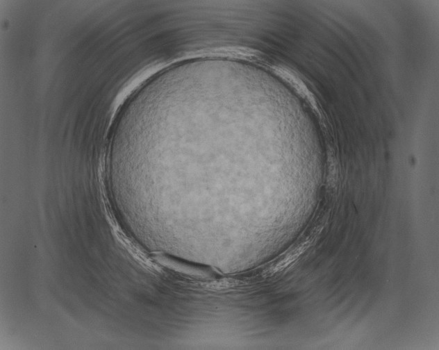 X0000081370952200702020202