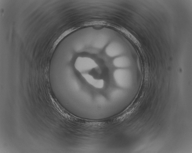 X0000081370953200702020202