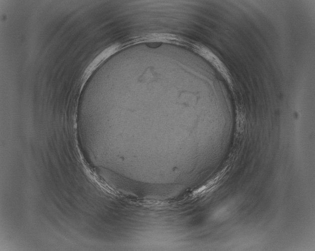 X0000081370954200702020202