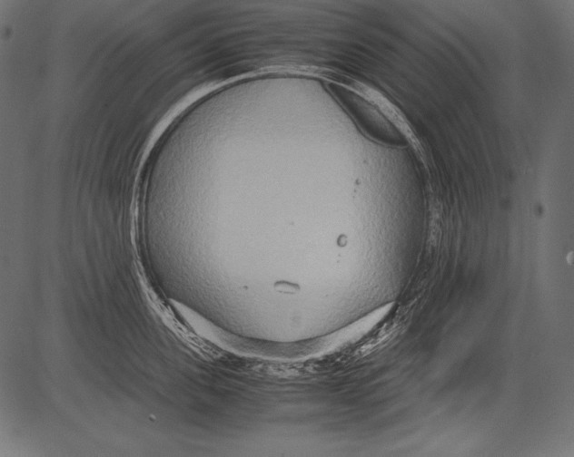 X0000081370955200702020202