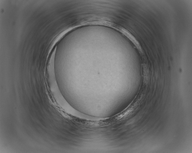 X0000081370956200702020202