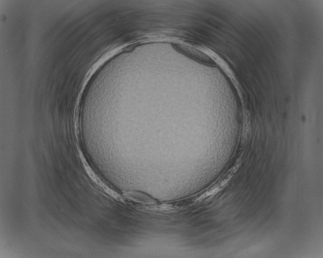 X0000081370957200702020202