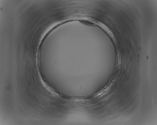 X0000081370958200702020202