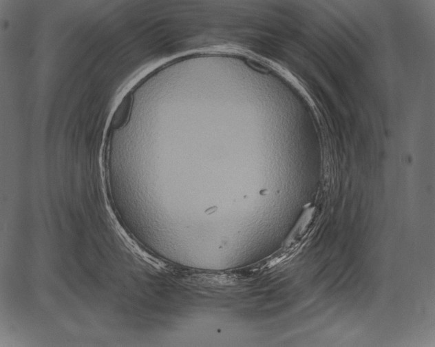 X0000081370959200702020202