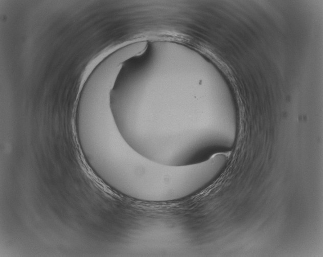 X0000081370960200702020202