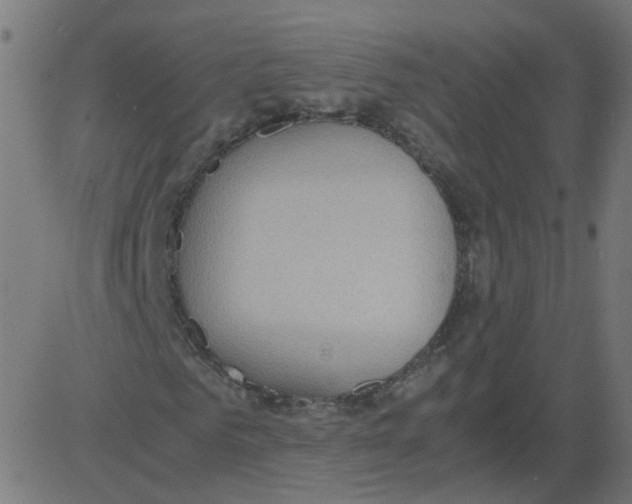 X0000081370961200702020201