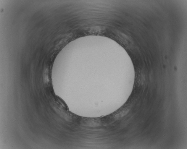 X0000081370962200702020201