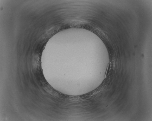 X0000081370964200702020201