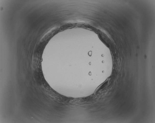 X0000081370967200702020201