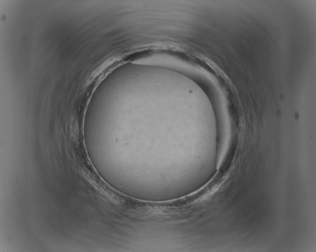 X0000081370969200702020201