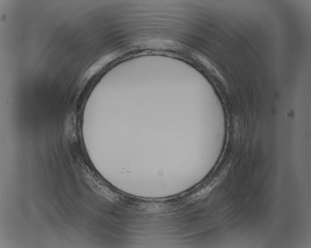 X0000081370970200702020201