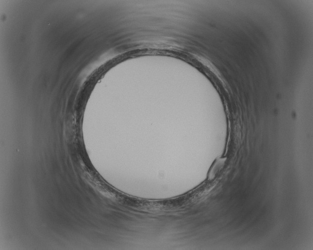 X0000081370971200702020201