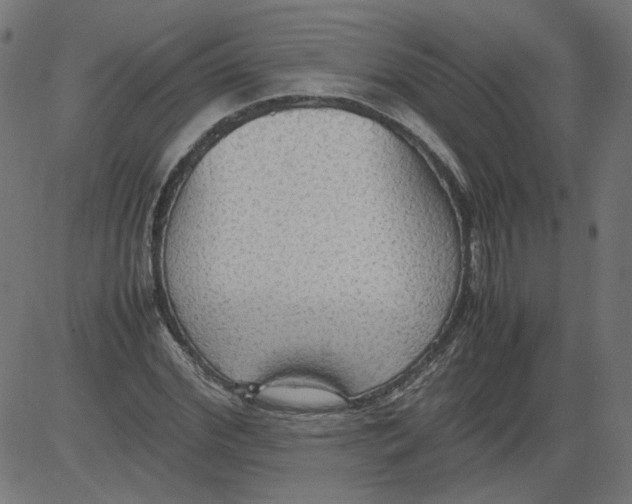 X0000081370972200702020201