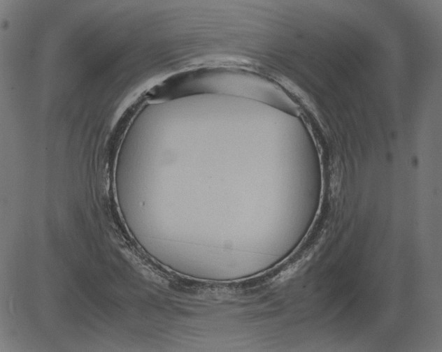 X0000081370973200702020201