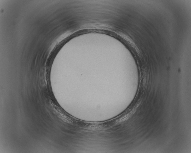 X0000081370974200702020201