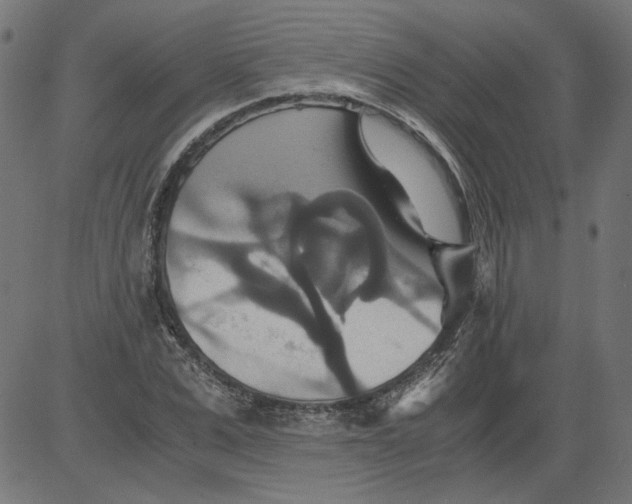 X0000081370975200702020201