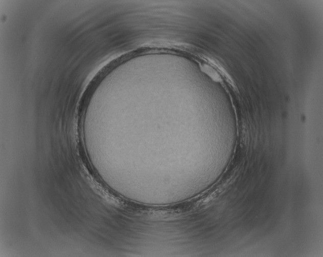 X0000081370976200702020201