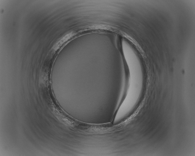 X0000081370977200702020201