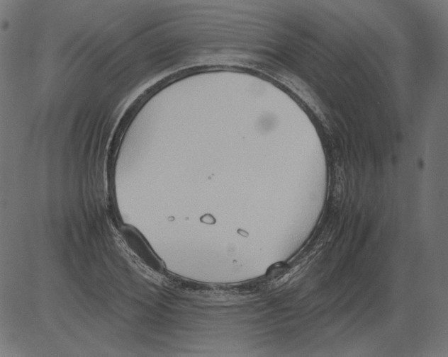 X0000081370980200702020201