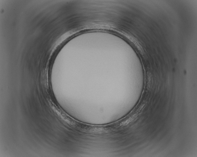 X0000081370982200702020201