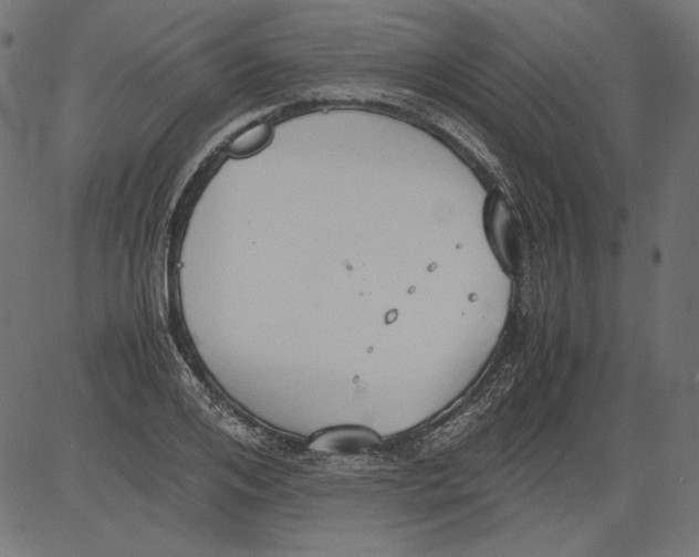 X0000081370984200702020201