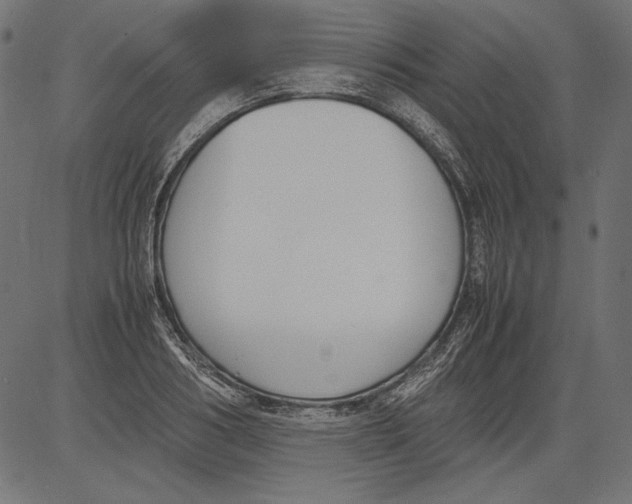 X0000081370986200702020201