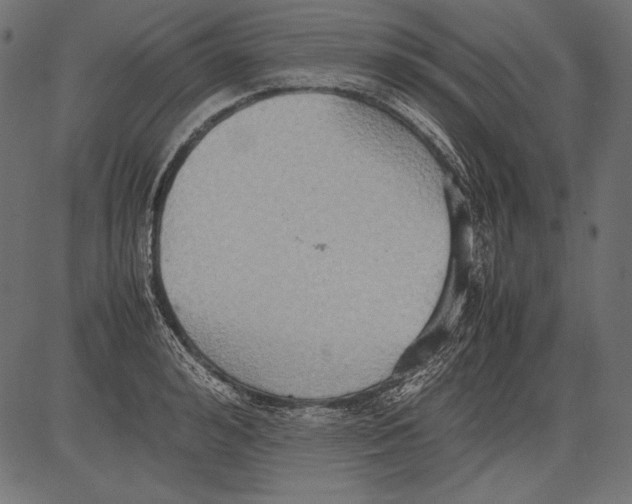 X0000081370992200702020201