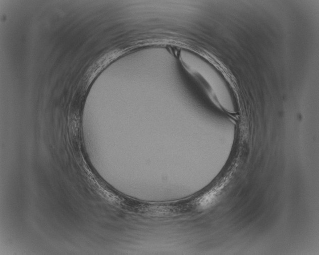 X0000081370993200702020201