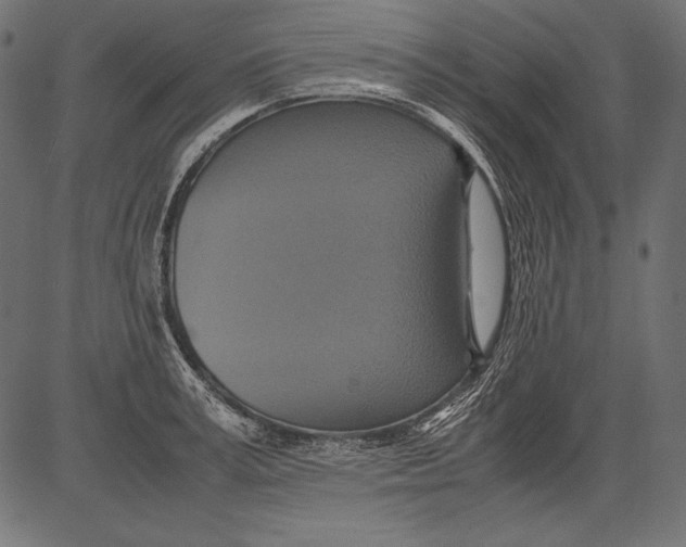 X0000081370995200702020200