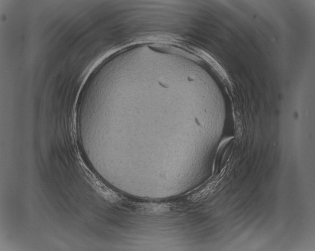 X0000081370996200702020200