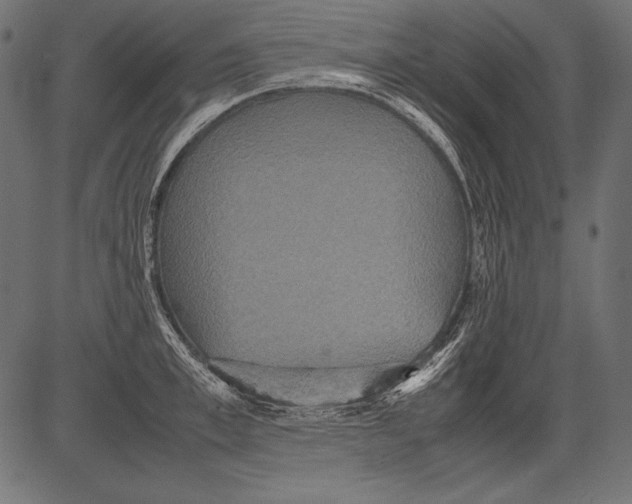 X0000081370997200702020200