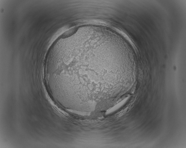 X0000081370999200702020200