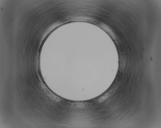 X0000081371000200702020200