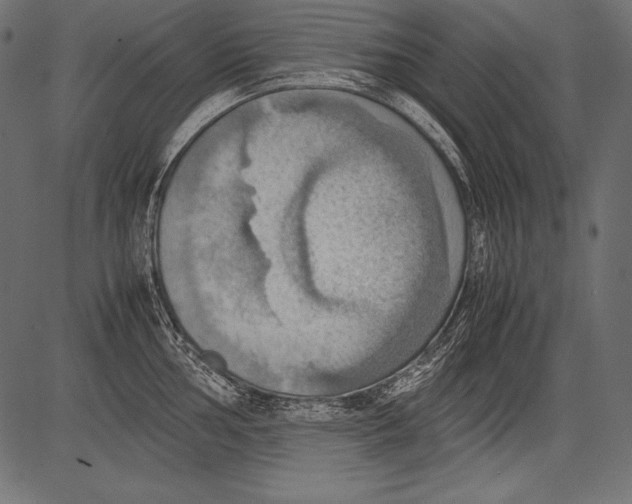 X0000081371002200702020200