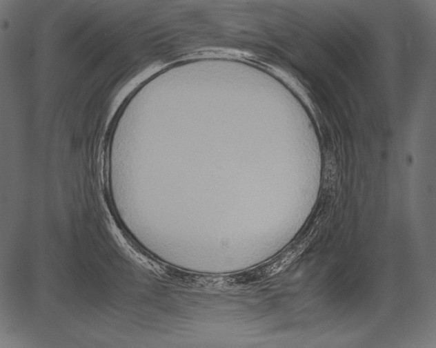 X0000081371003200702020200