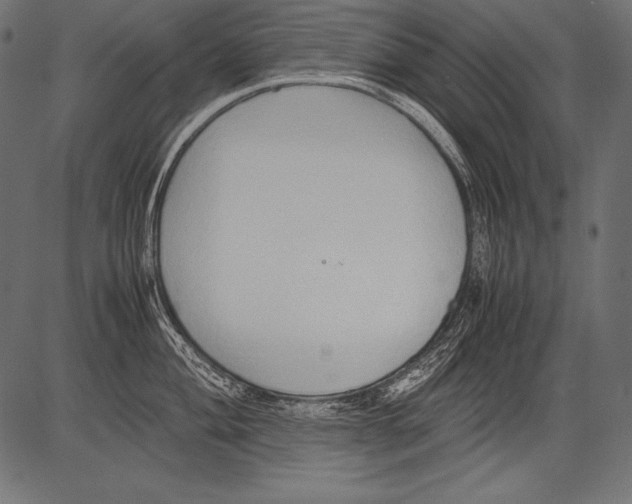 X0000081371004200702020200