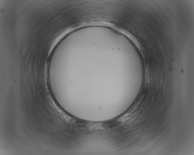 X0000081371006200702020200