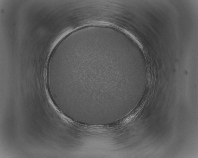 X0000081371007200702020200