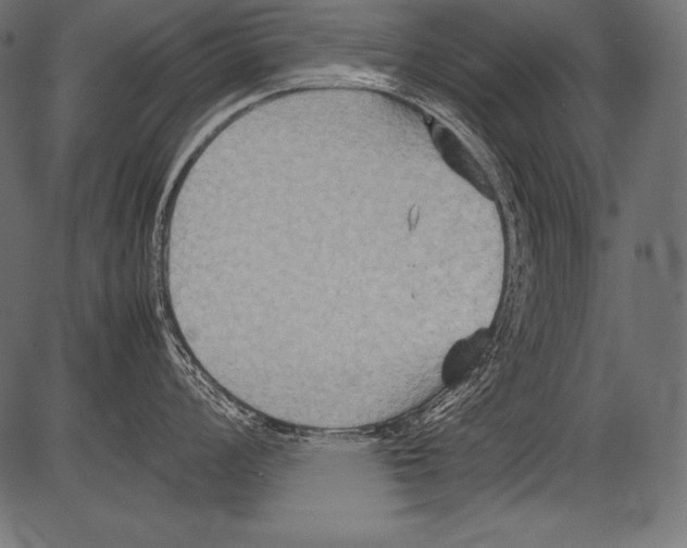 X0000081371008200702020200