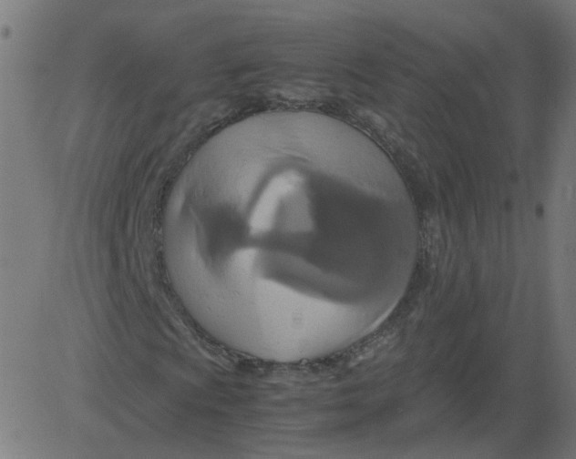 X0000081371009200702020159