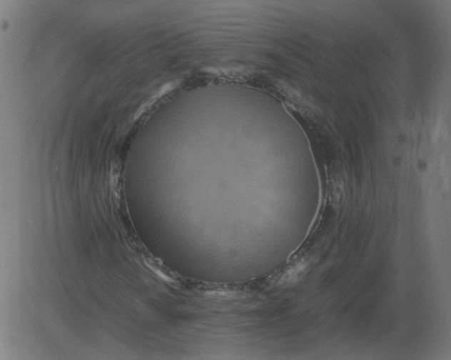 X0000081371010200702020200