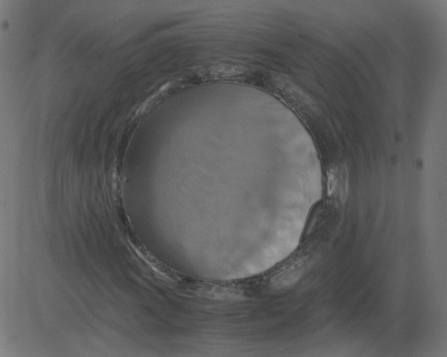 X0000081371011200702020200