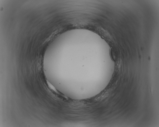 X0000081371012200702020200