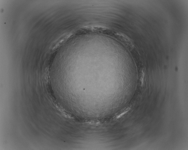 X0000081371014200702020200