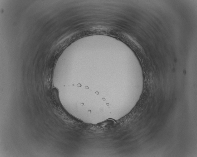 X0000081371015200702020200