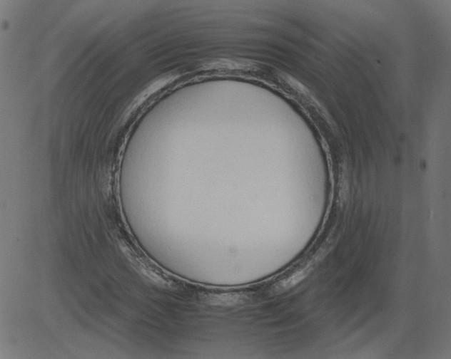 X0000081371017200702020200