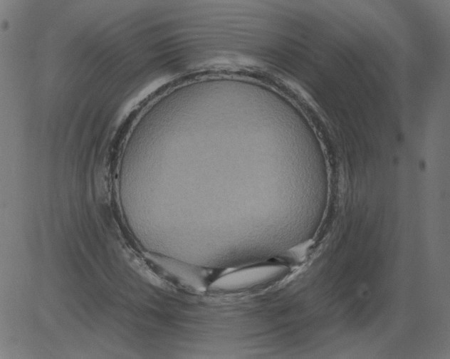 X0000081371018200702020200